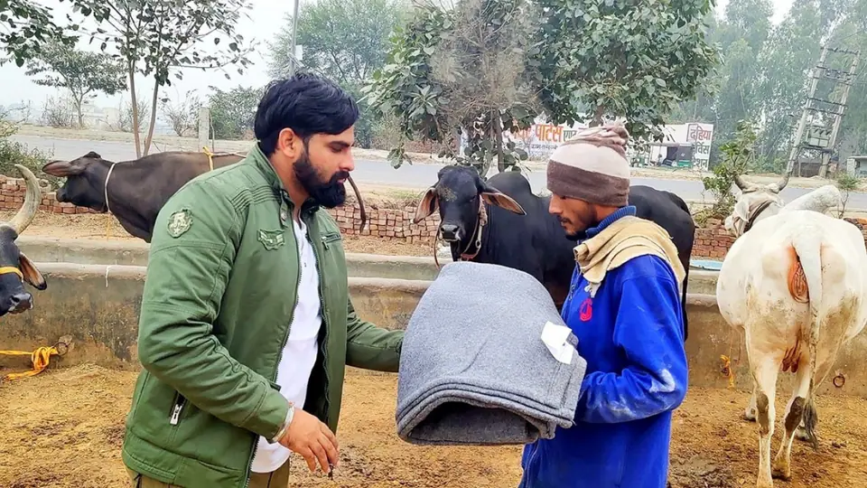 Nature and cow care